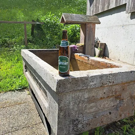 Schlossblick * Landl (Styria)