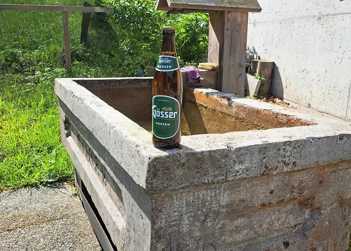 Schlossblick * Landl (Styria)